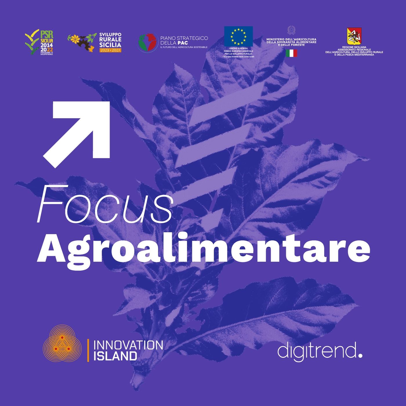 Focus Agroalimentare Sicilia