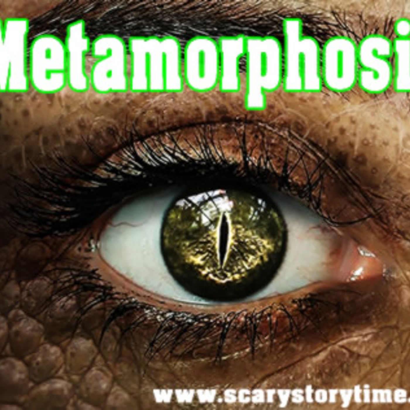 Horror Stories | Metamorphosis