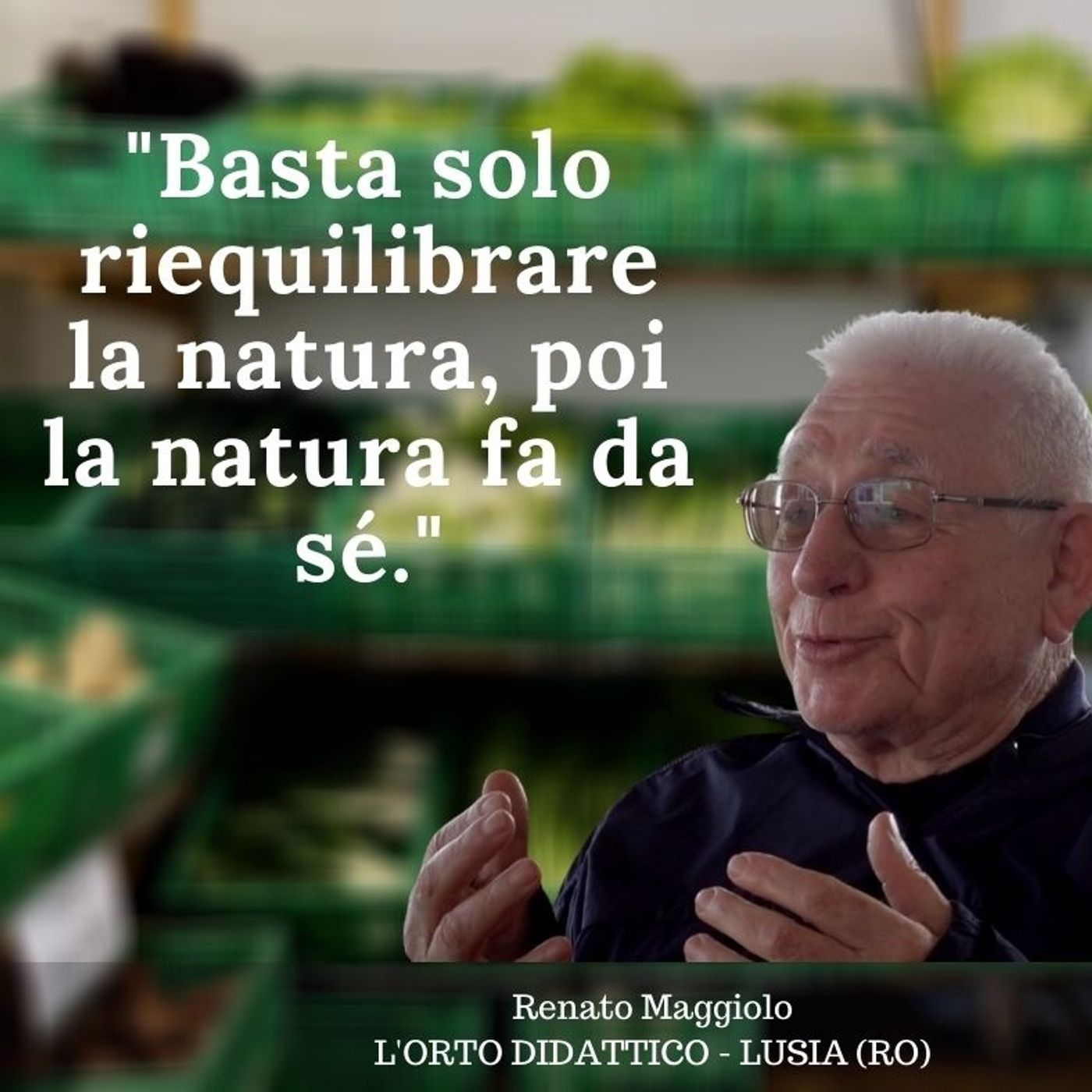 8. L'orto didattico - Il profumo della freschezza