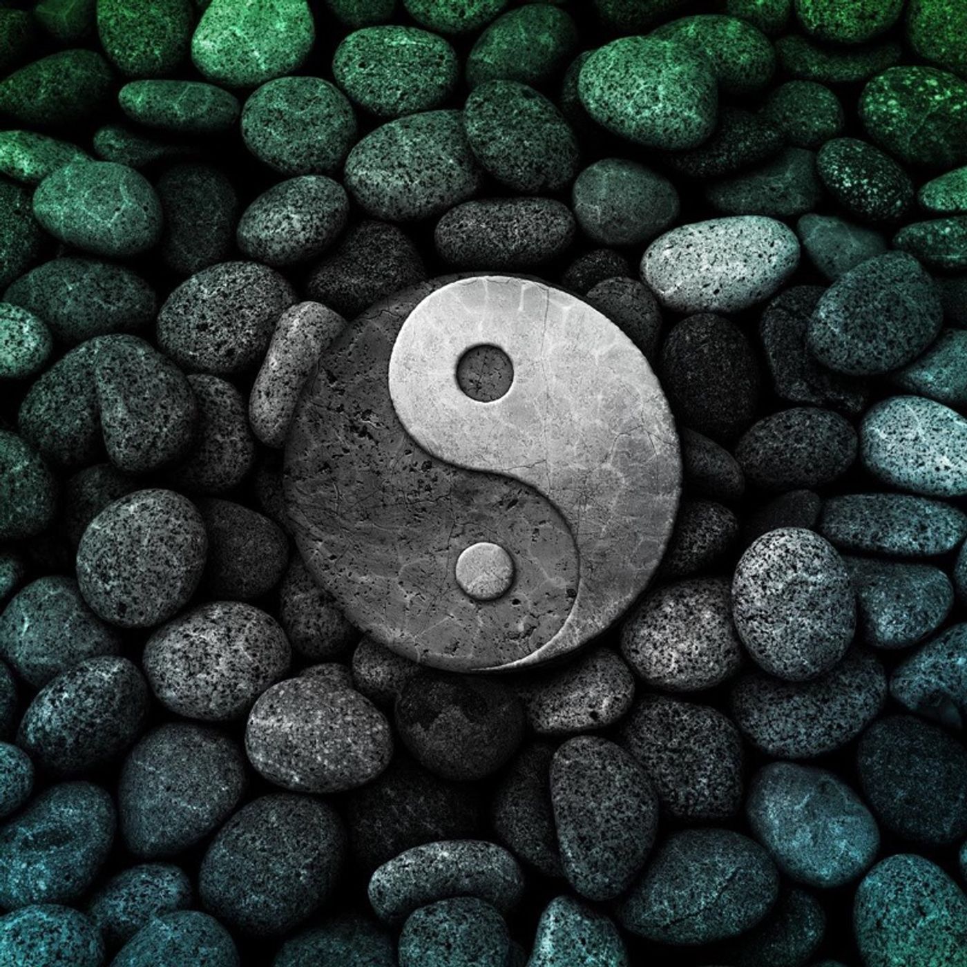 Niceness versus kindness. episode artwork