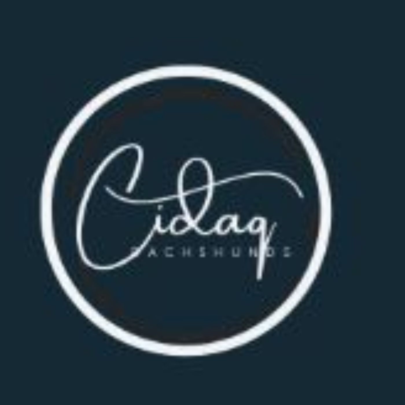 The Joy of Puppies – Stories of Love & Companionship