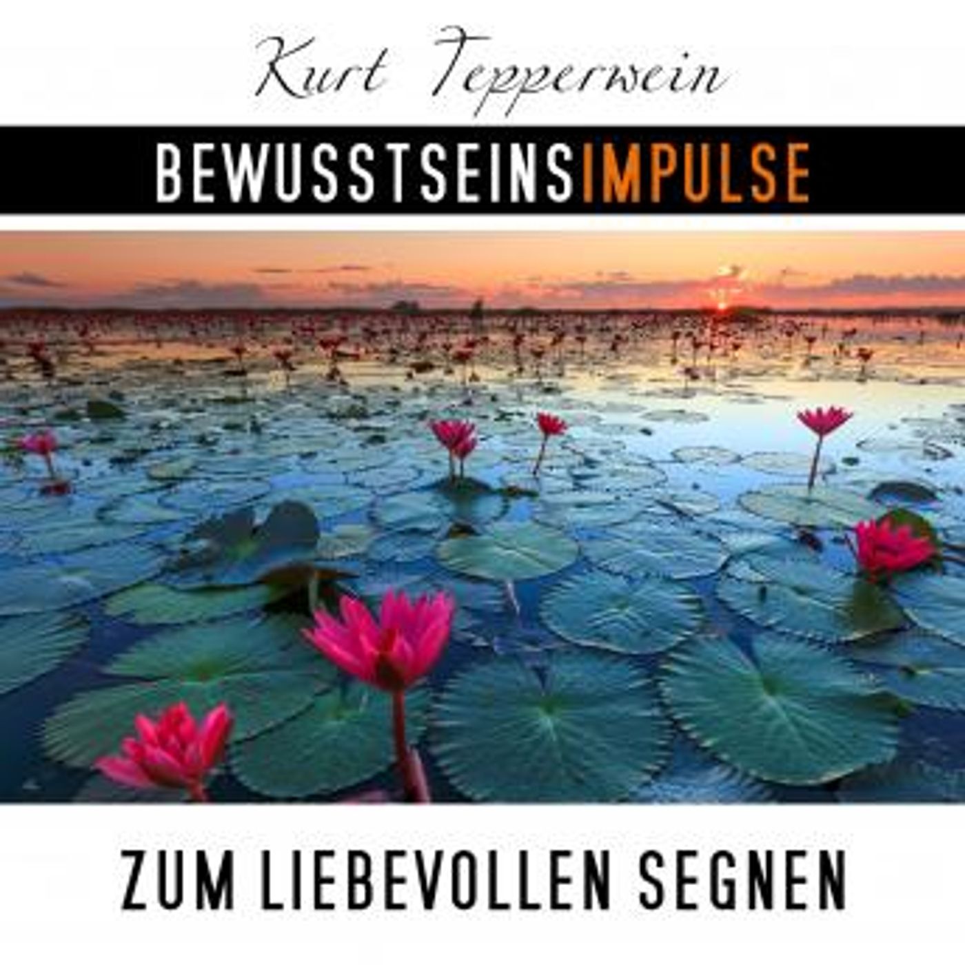 Listen to Top Full Audiobooks in Health & Wellness, Fitness, Diet & Nutrition