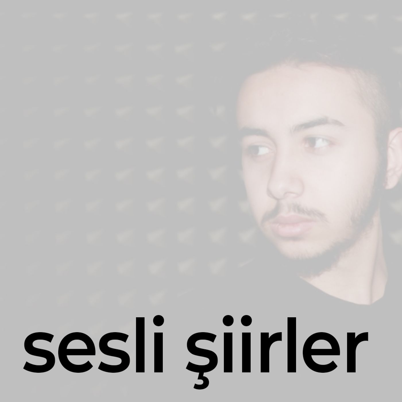 Sesli Şiirler