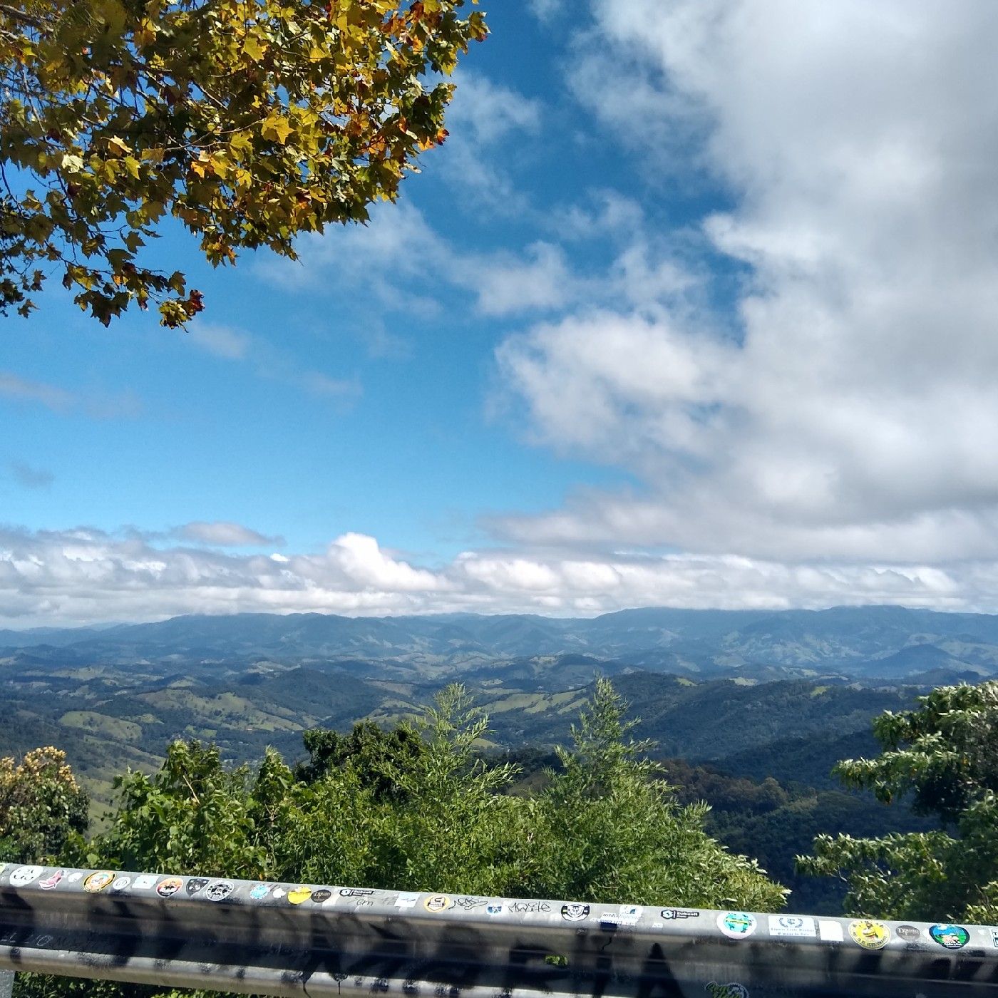 Palavras graciosas com música /2