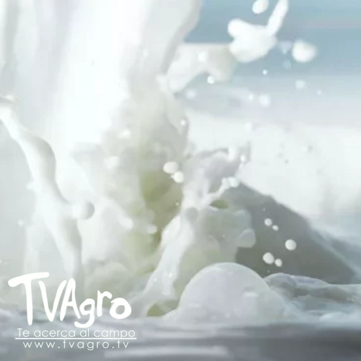 TV AGRO