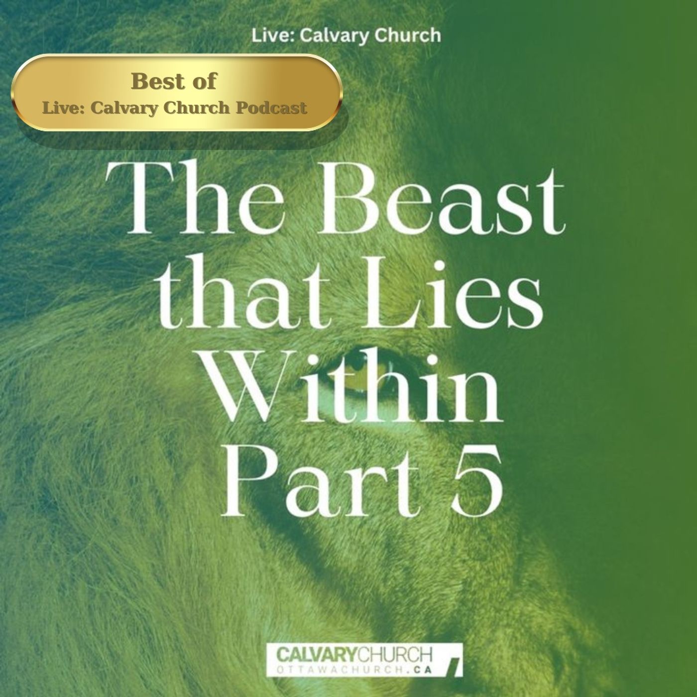 Beest of: The Beast that Lies Within - Part 5.