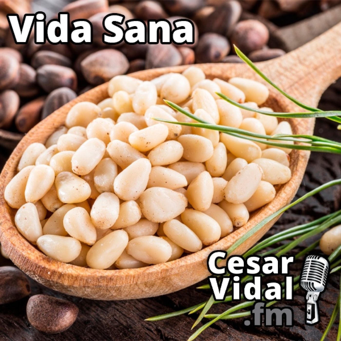 La Voz de César Vidal