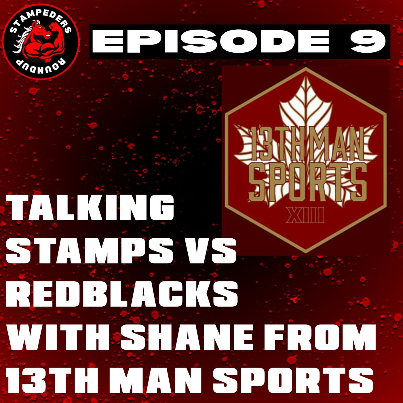 Episode 9 - Shane from 13th Man Sports & I Talk Stamps vs Redblacks & More!