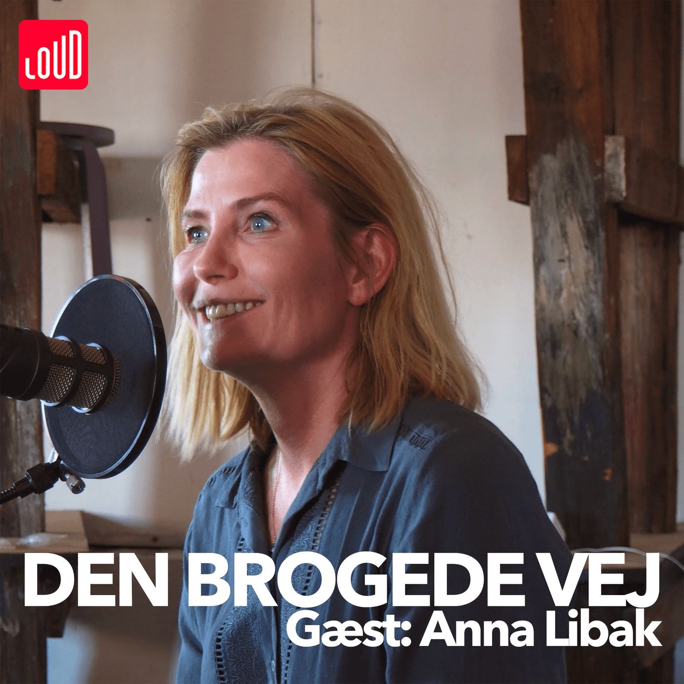 Den Brogede Vej