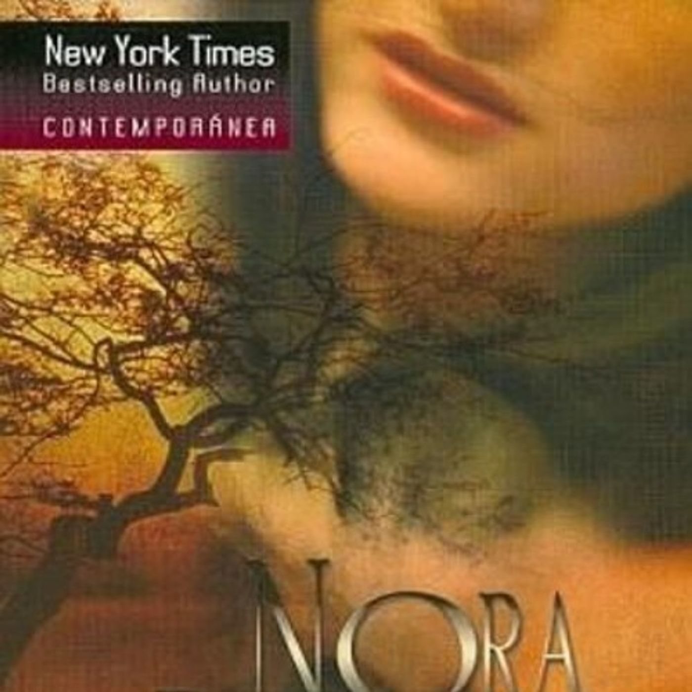 Demasiados secretos - Nora Roberts