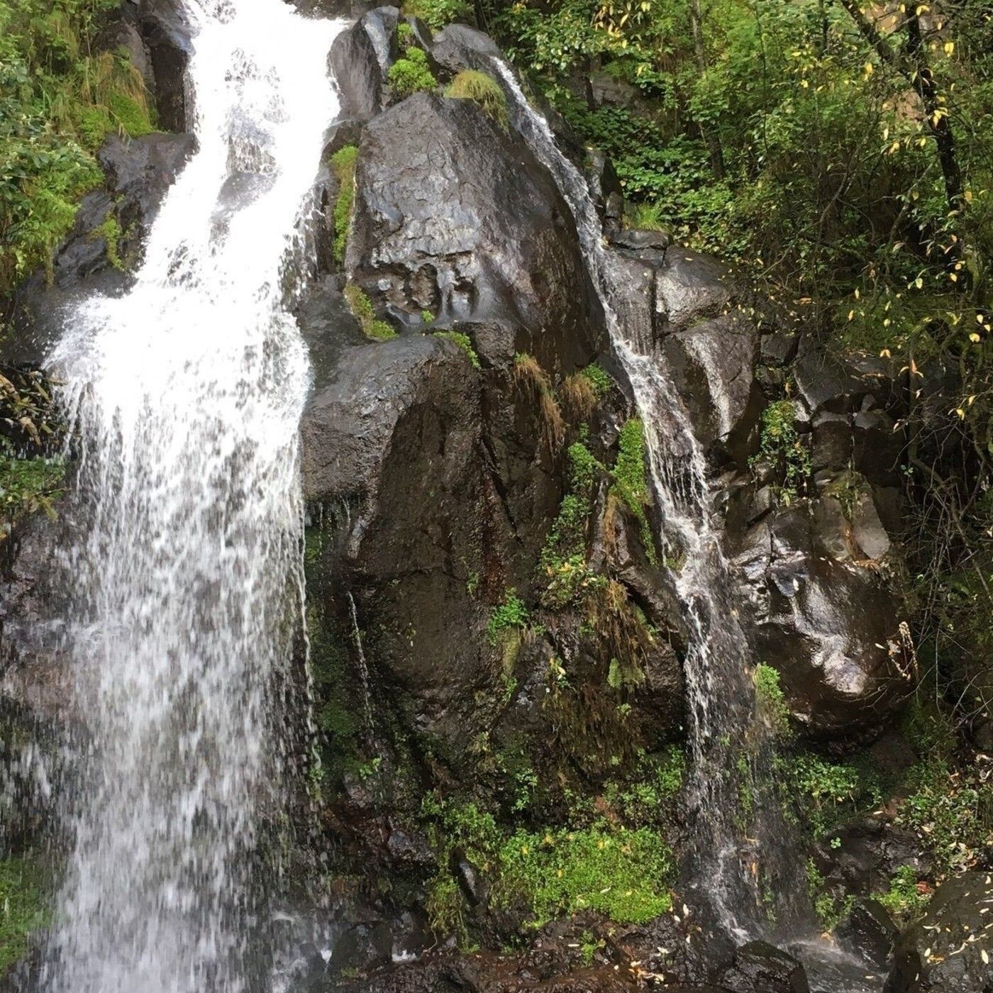 Historias de Miedo Agosto 13 2021 UN TESORO EN LA CASCADA
