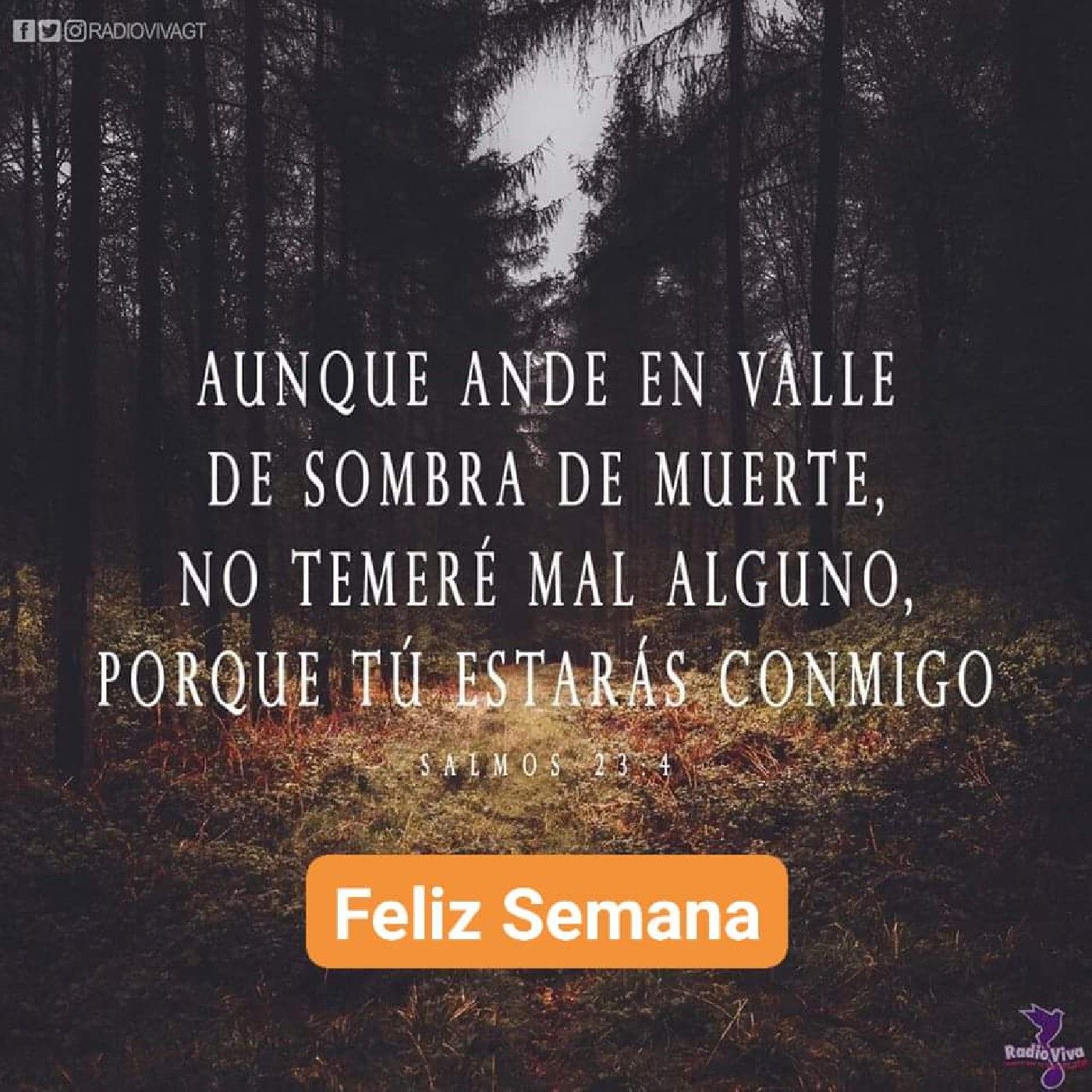 Guiada Por El Rajaj codechEspírituDeYHWY