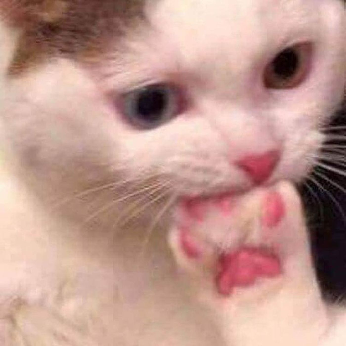 back to 505 cover art