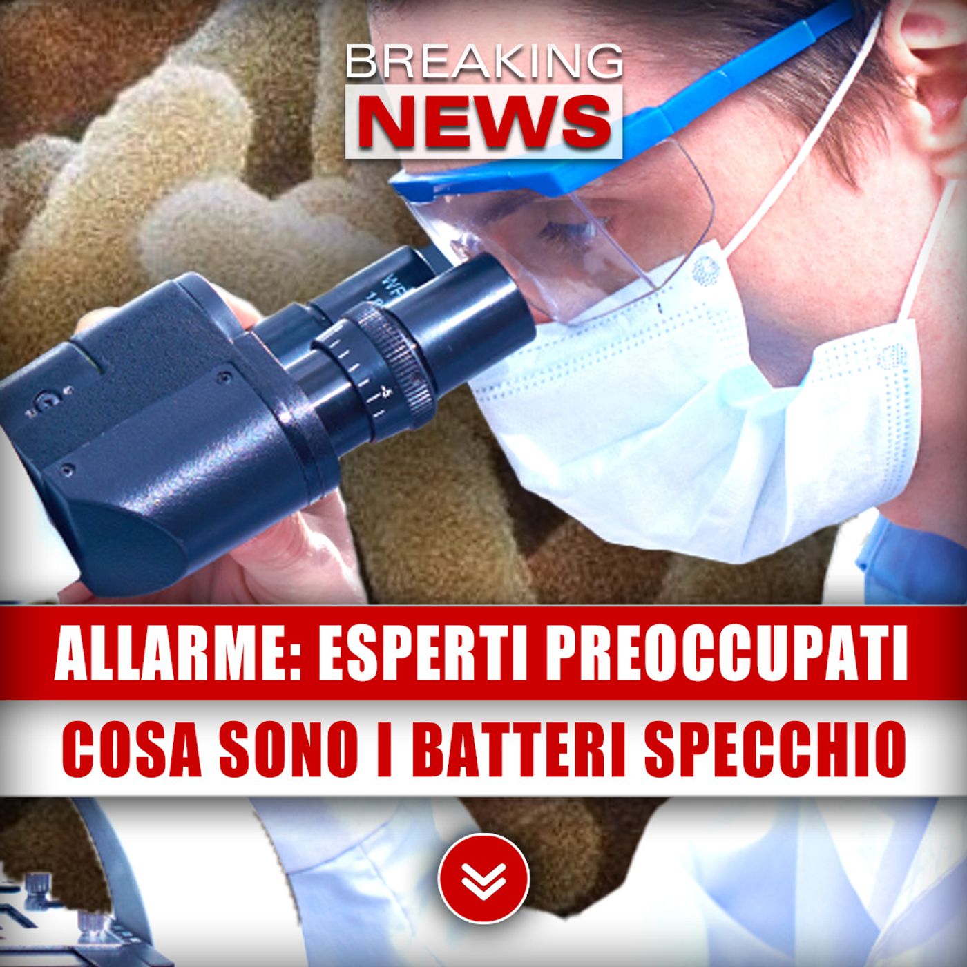 Allarme, Esperti Preoccupati: Cosa Sono I Batteri Specchio!