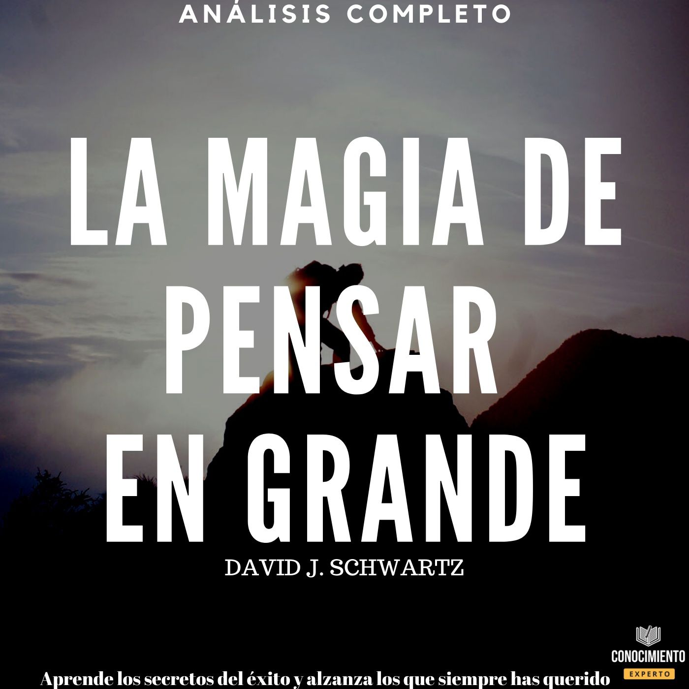 Conocimiento Experto