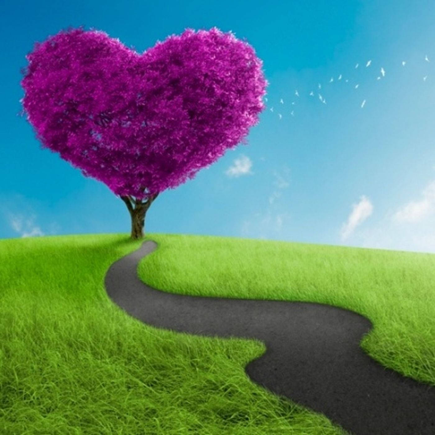 INVITACION CONSCIENTE