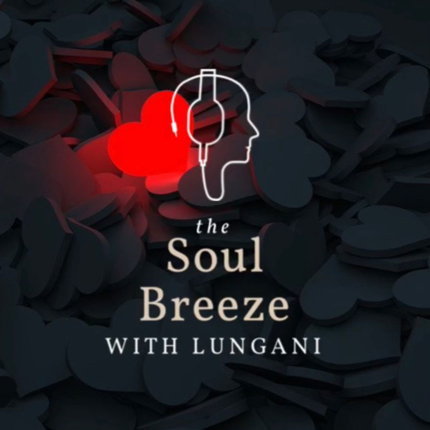 Lungani Mkhize's podcast podcast artwork