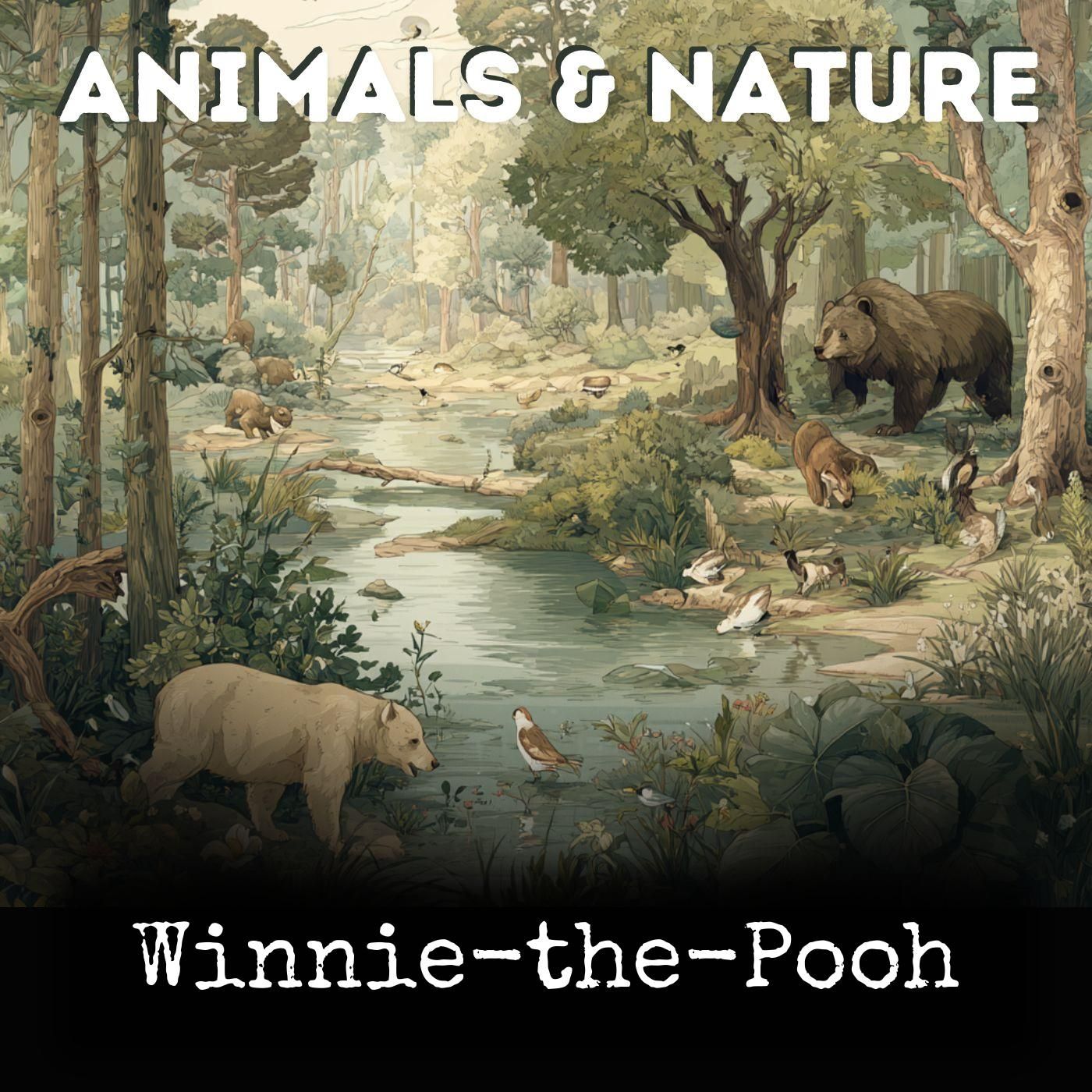 Winnie-the-Pooh podcast artwork