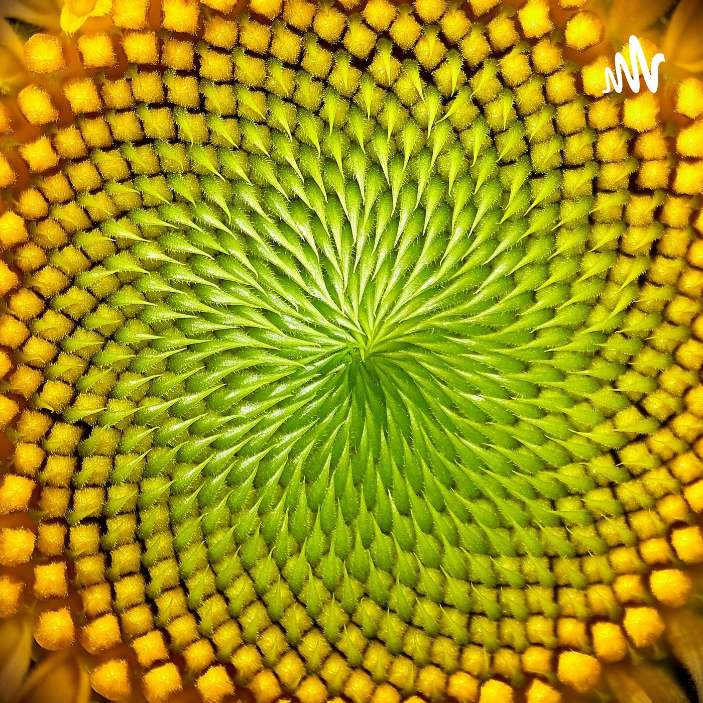 年轮一圈又一圈