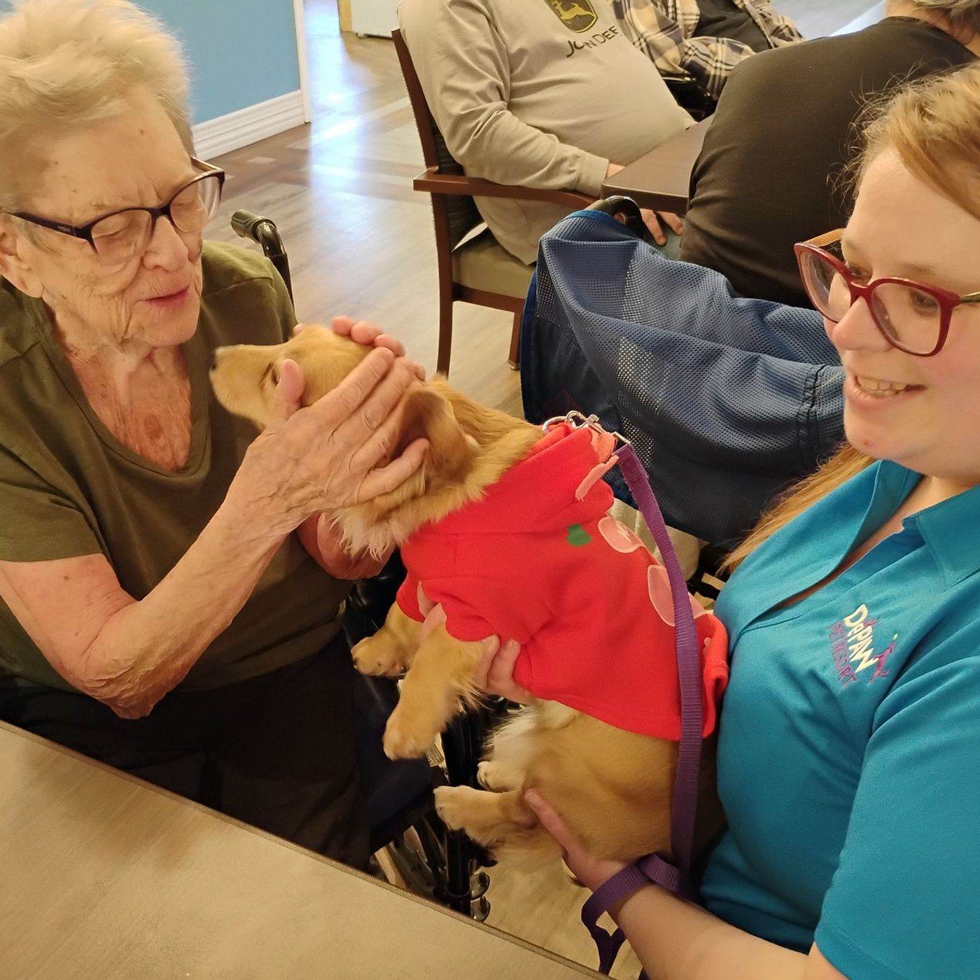Geneva daycare dogs bring Valentine’s Day joy to seniors at Bria episode artwork