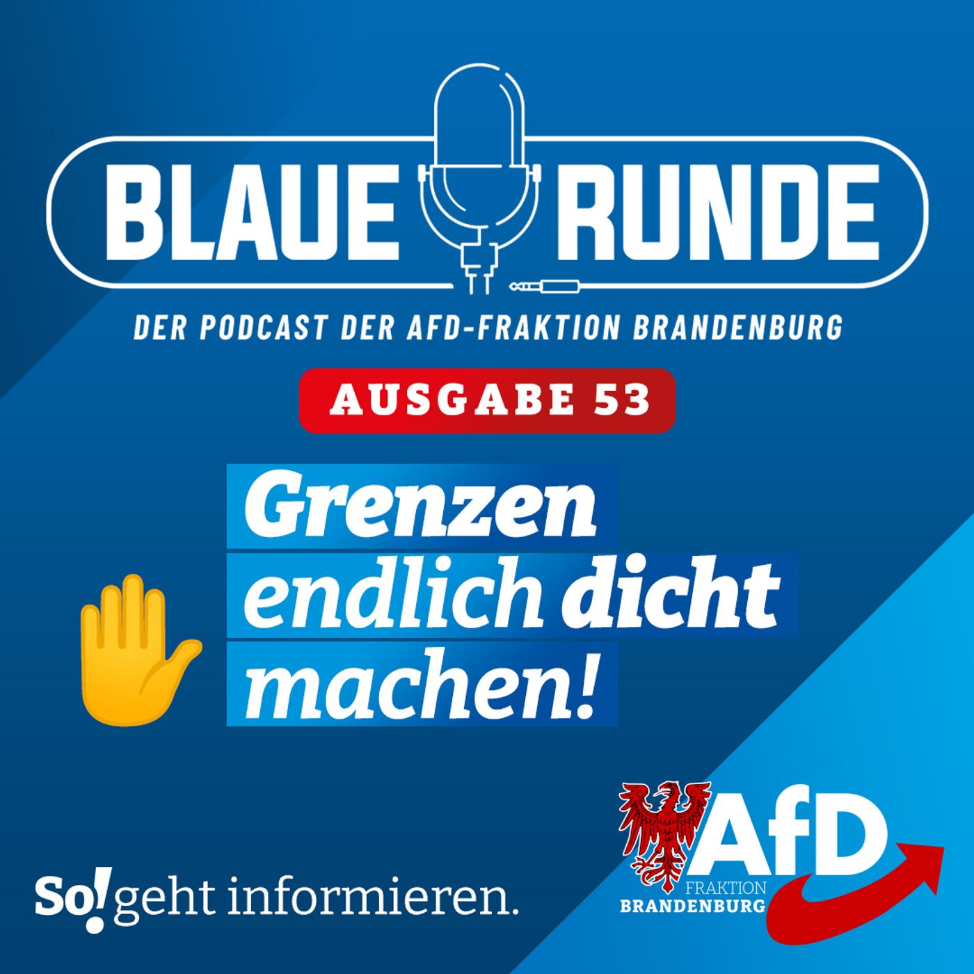 Grenzen endlich dicht machen! | Die Blaue Runde, Ausgabe 53/23 vom 01. Juni 2023 episode artwork