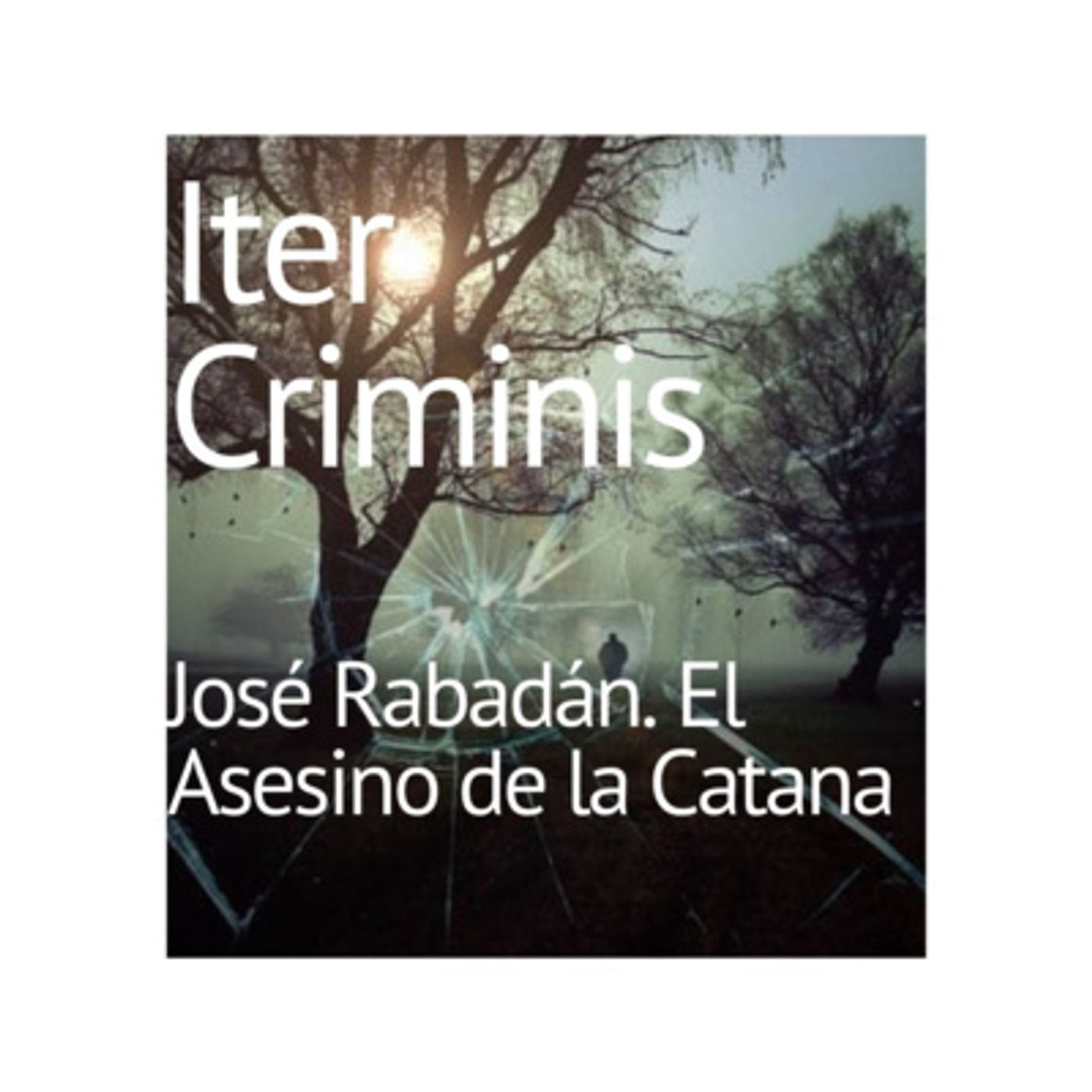 Iter Criminis. Camino al Delito. Introducción