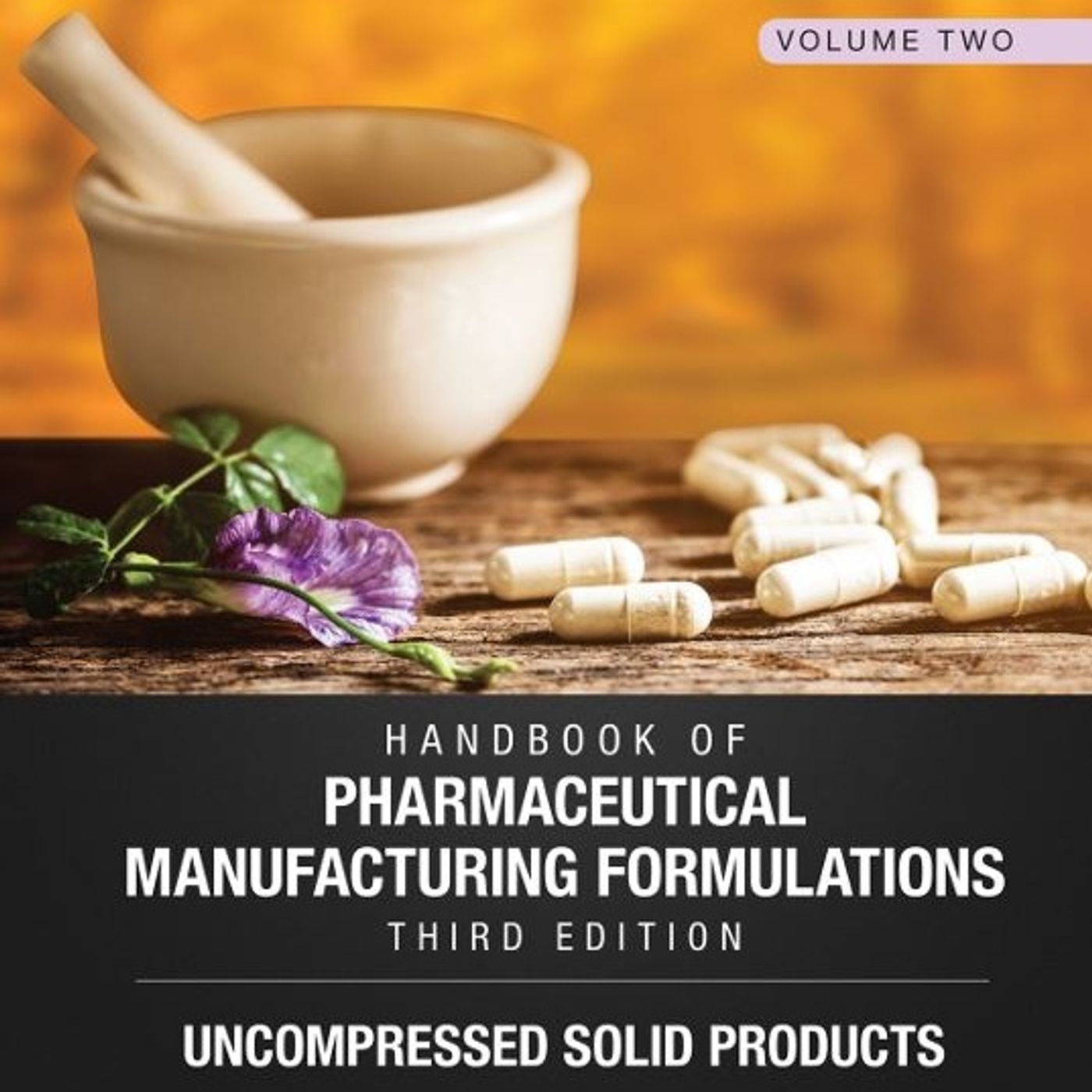 Handbook of Pharmaceutical Manufacturing Formulations: Uncompressed Solid Products