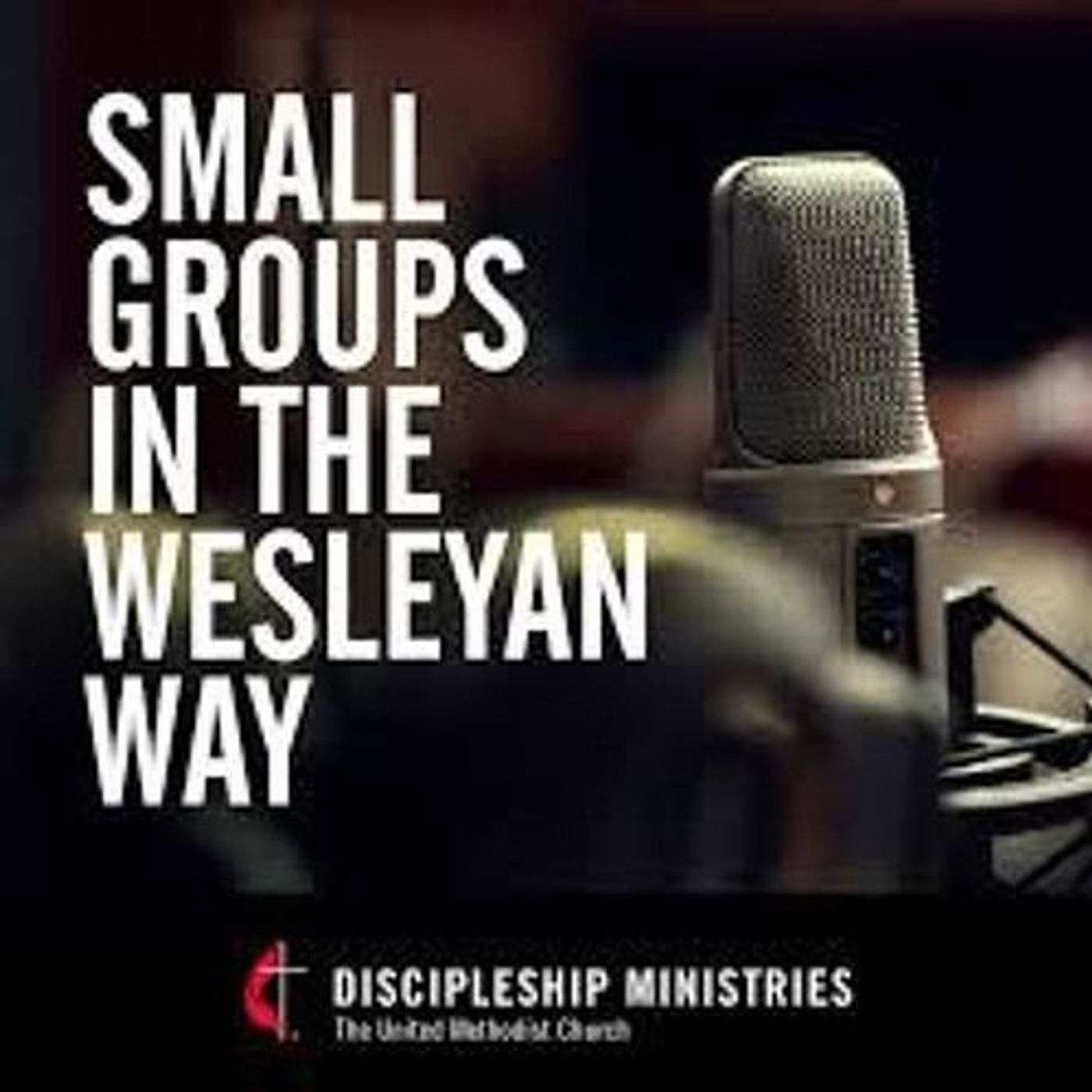 Small Groups in the Wesleyan Way
