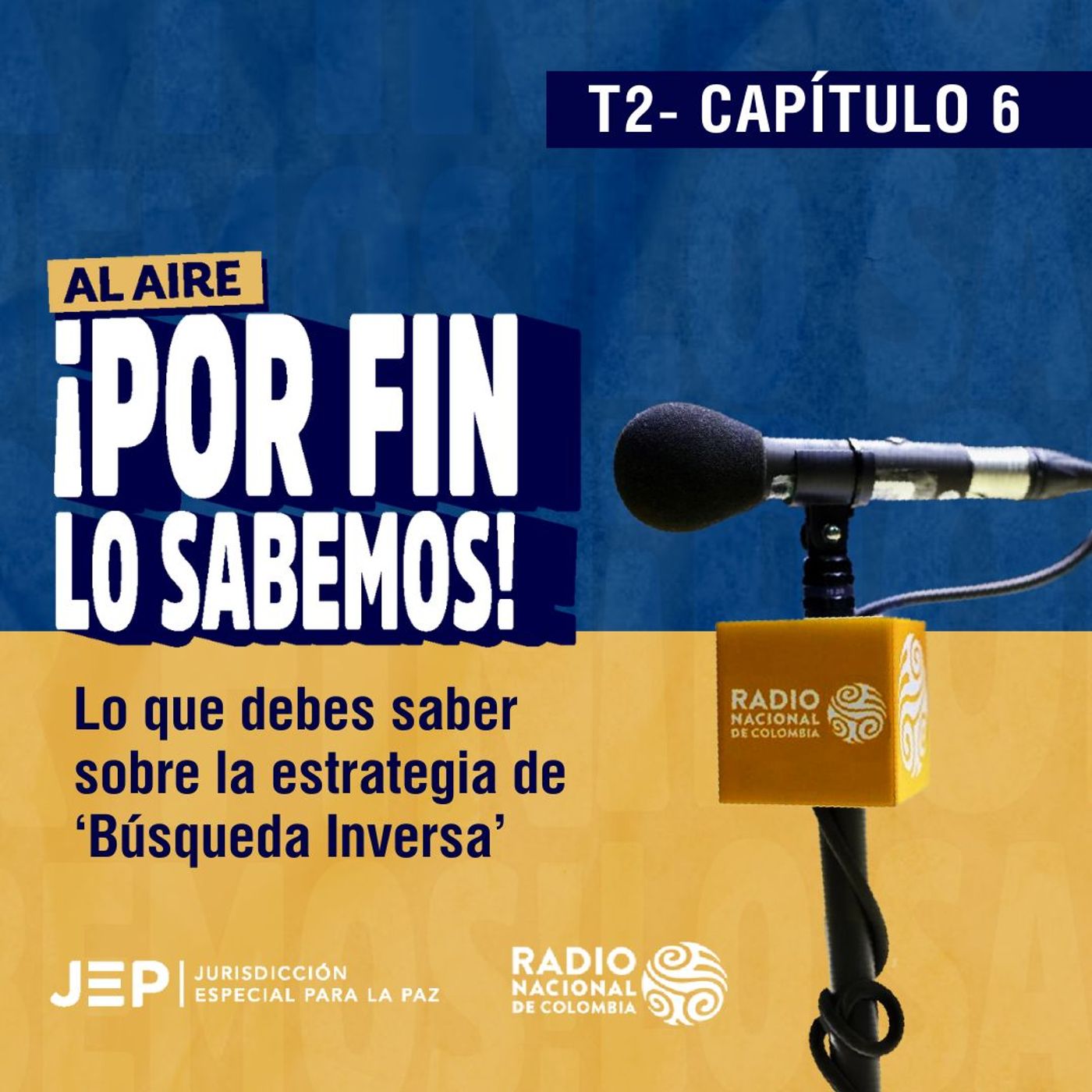 Capítulo 6| ¡Por fin lo sabemos! Lo que debes saber sobre la estrategia de 'Búsqueda Inversa' episode artwork