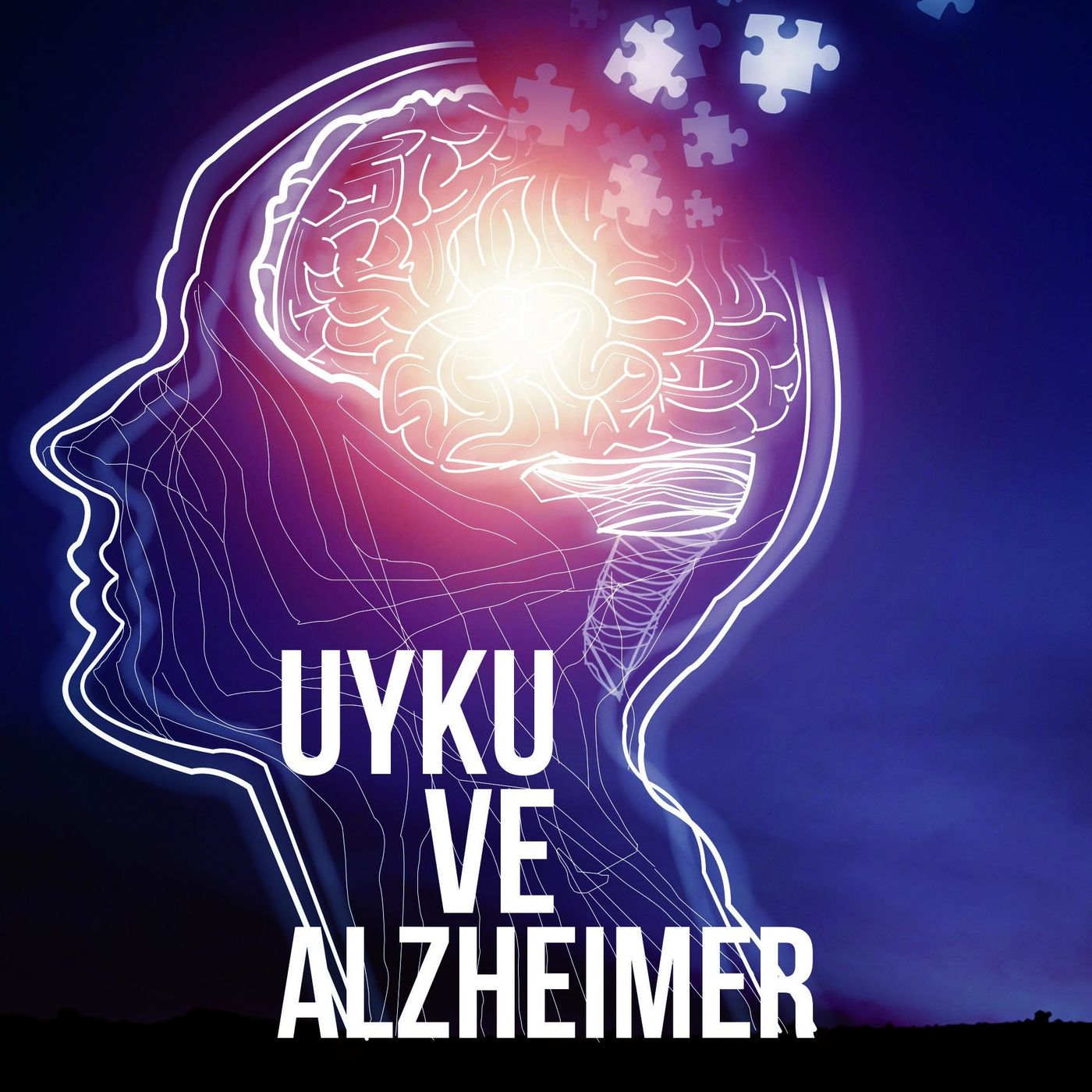 Uyku ve Alzheimer episode artwork