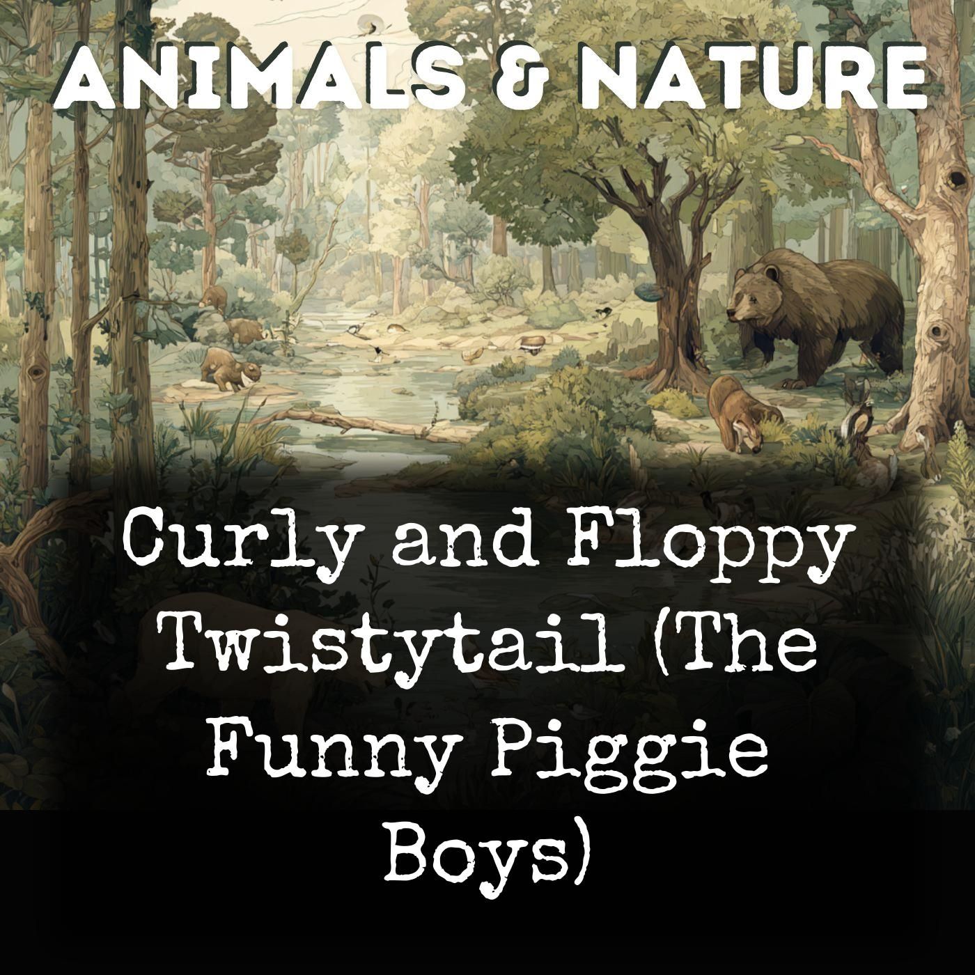 Curly and Floppy Twistytail (The Funny Piggie Boys)