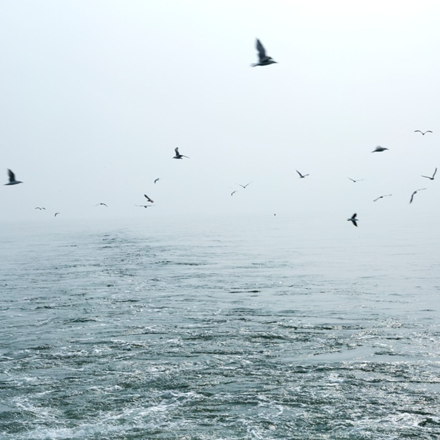 Copertina di Comunità di Pratica Blu