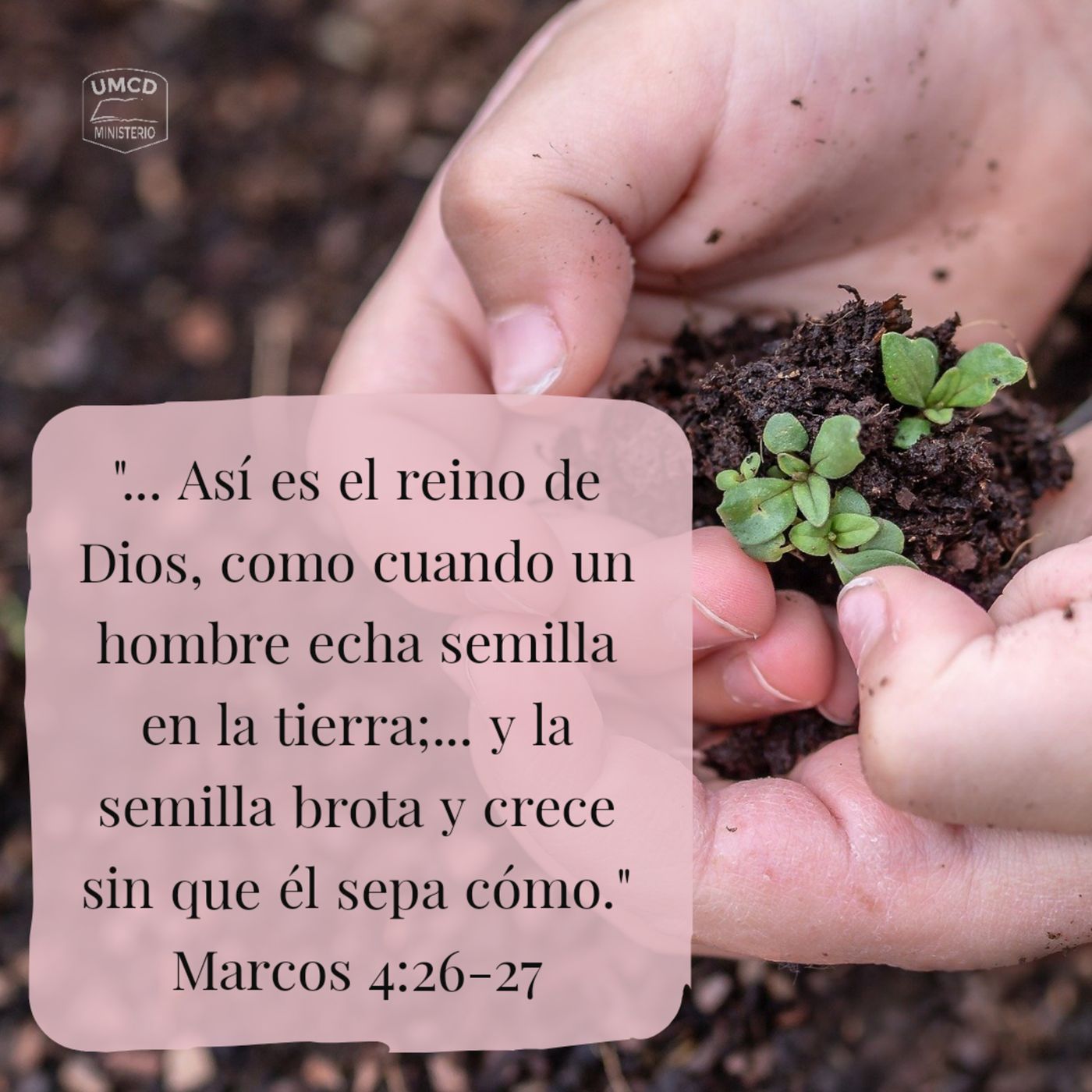 Evangelio de Marcos