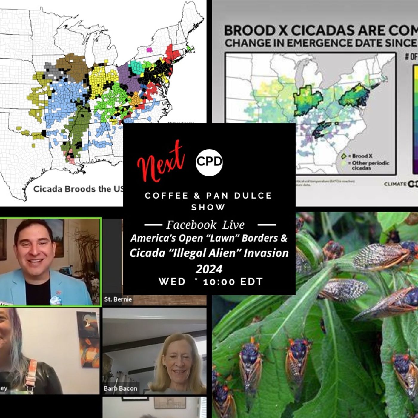 “America’s Open “Lawn” Borders & Cicada “Illegal Alien” Invasion 2024!” – #CPD0301-0612024 episode artwork