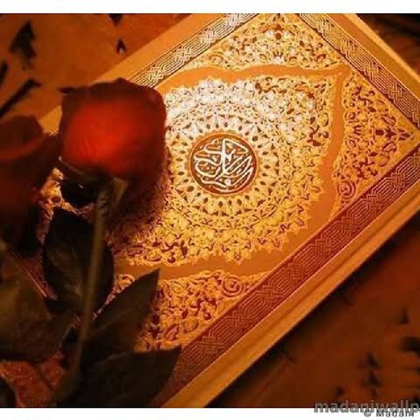Envision تصورBy Ust.Rehana Shah Bulbulia
