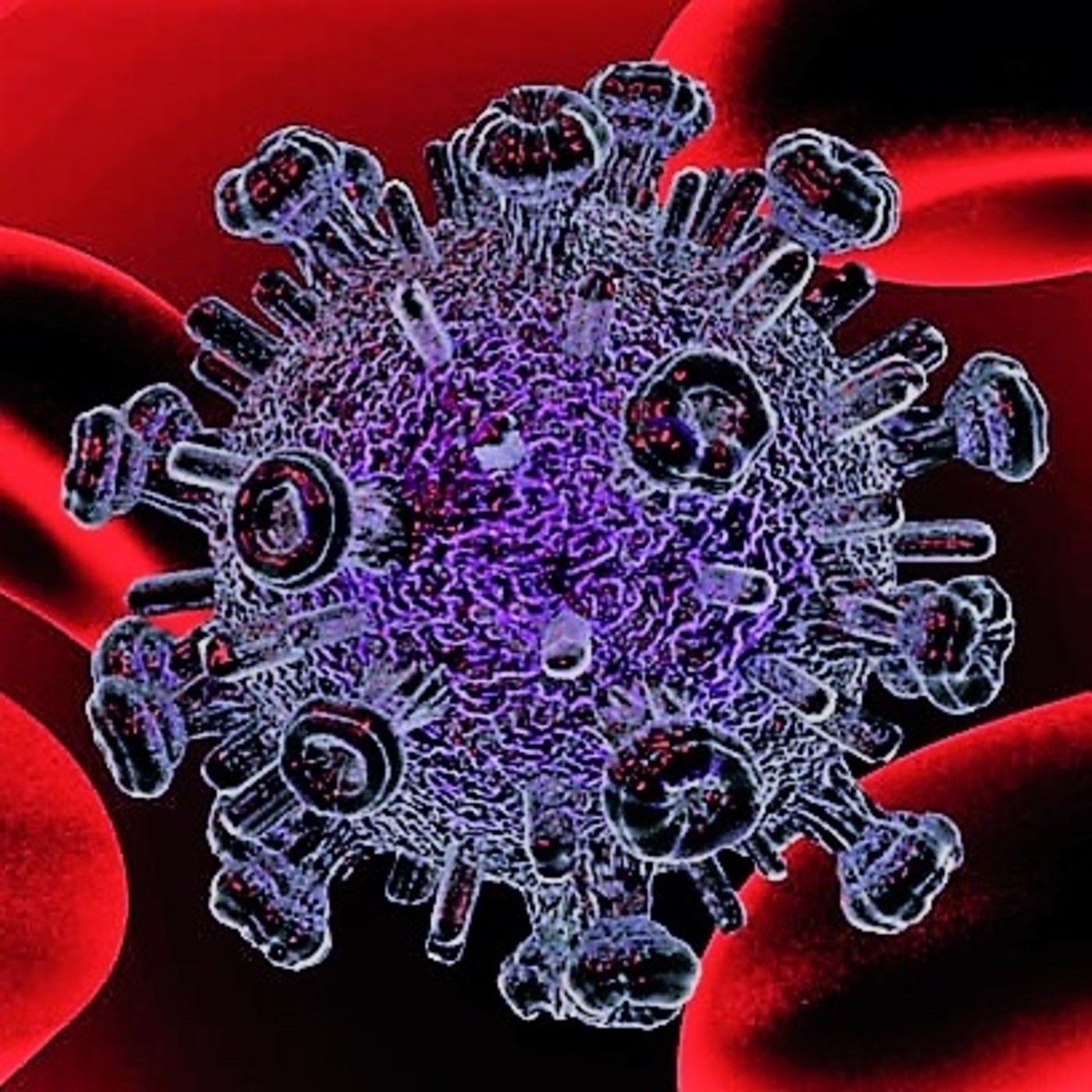 O que hai que escoitar