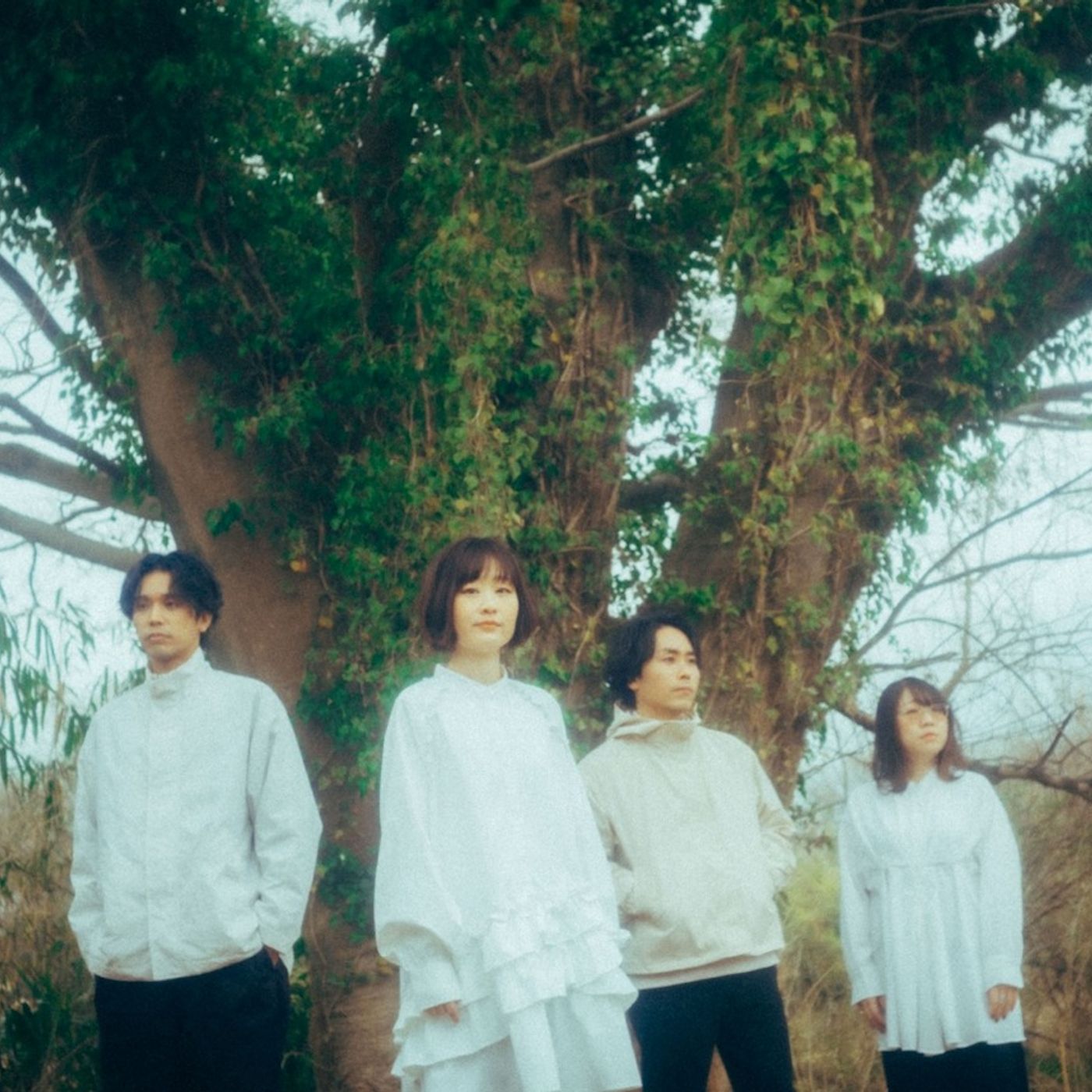 JYOCHO、最新曲「うたまひ」リリックビデオ公開　フルアルバムより「山川草木」先行配信も episode artwork