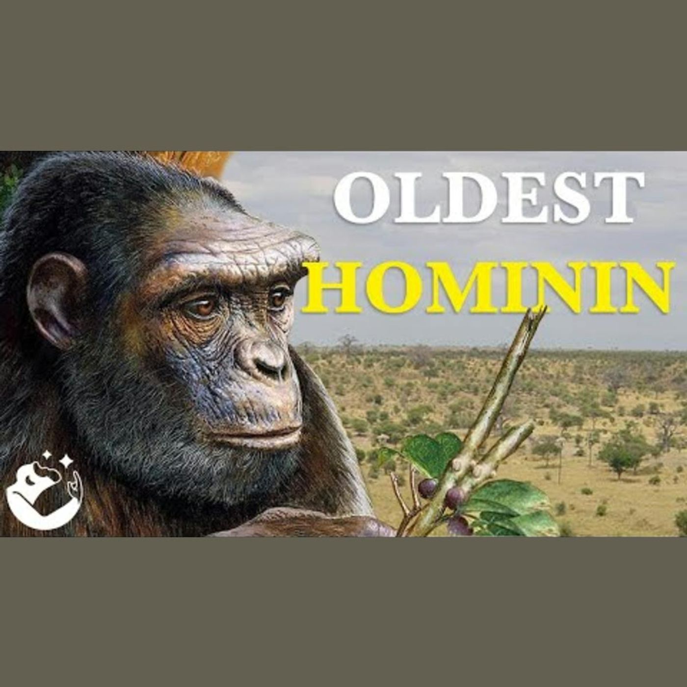 The Fascinating Origins of Hominins episode artwork