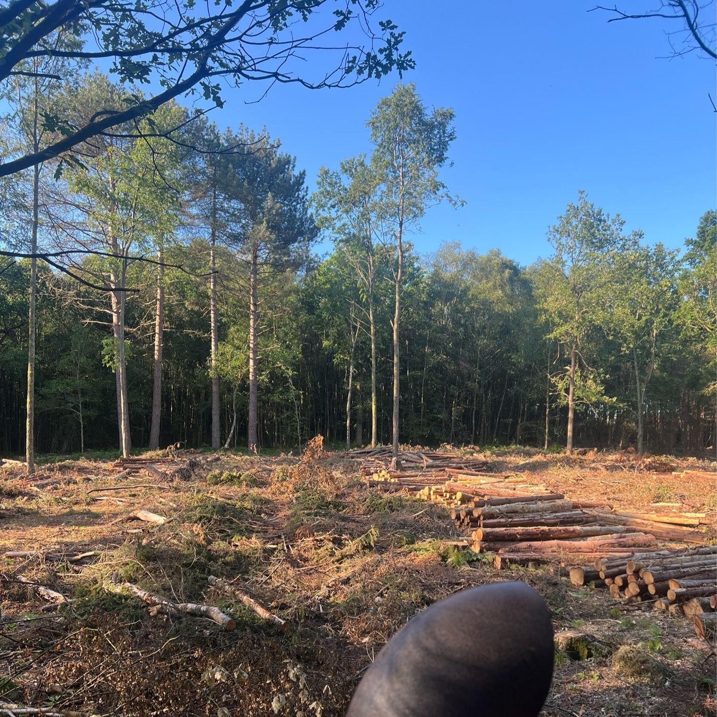 Not Your Average Fella