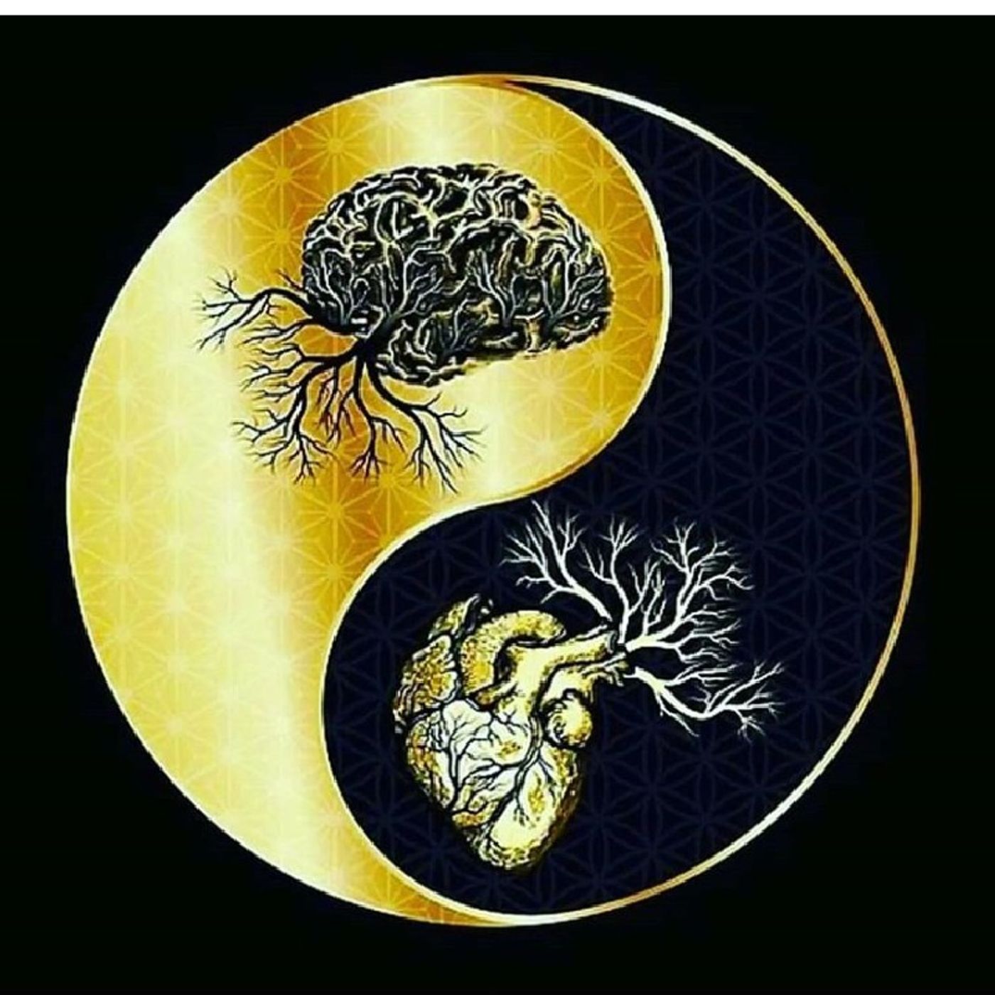 🚨🚨DM & DF: AN EMPEROR IS SPEAKING HIS TRUTH TO THE TWIN FLAME JOURNEY OF SPIRITUALITY🚨🚨 episode artwork