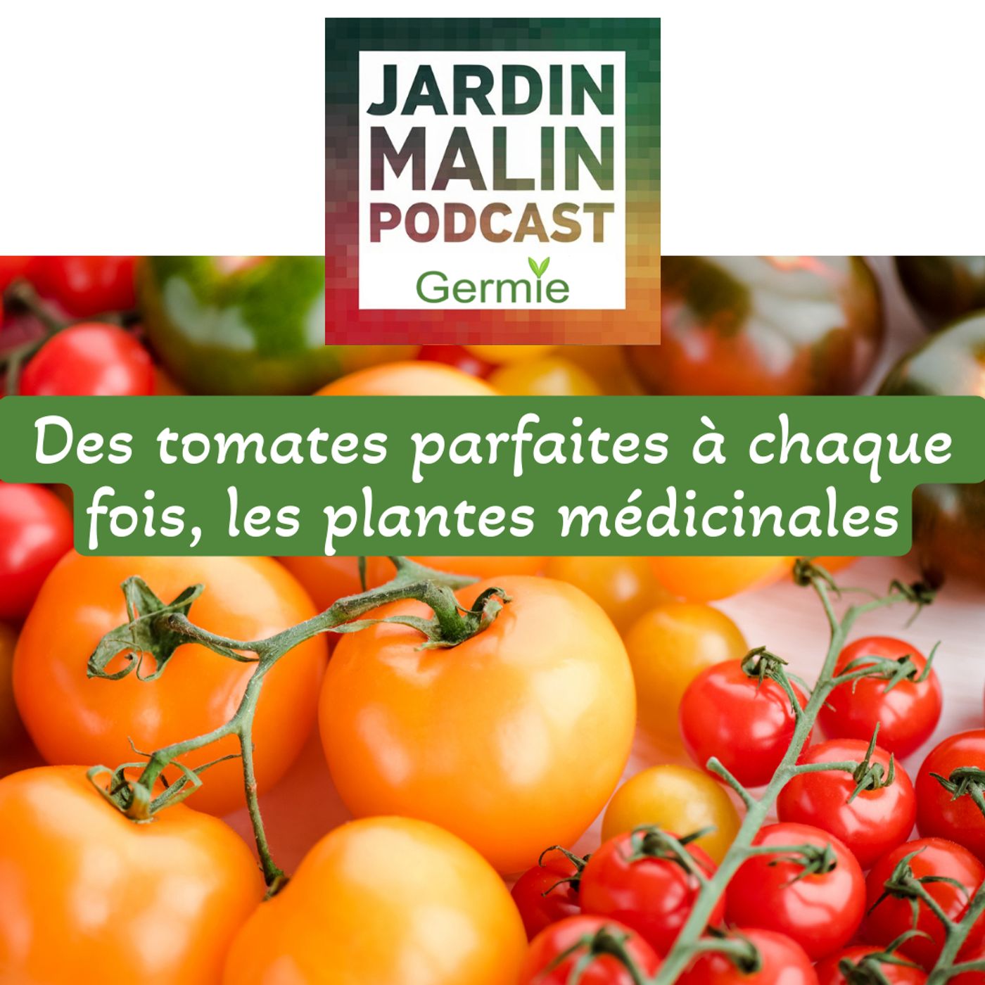 JARDIN MALIN by Germie