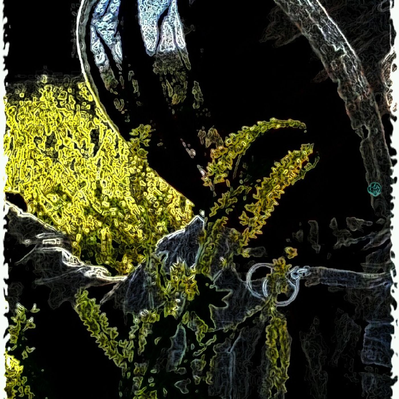 Dillenger Cromp\'s show