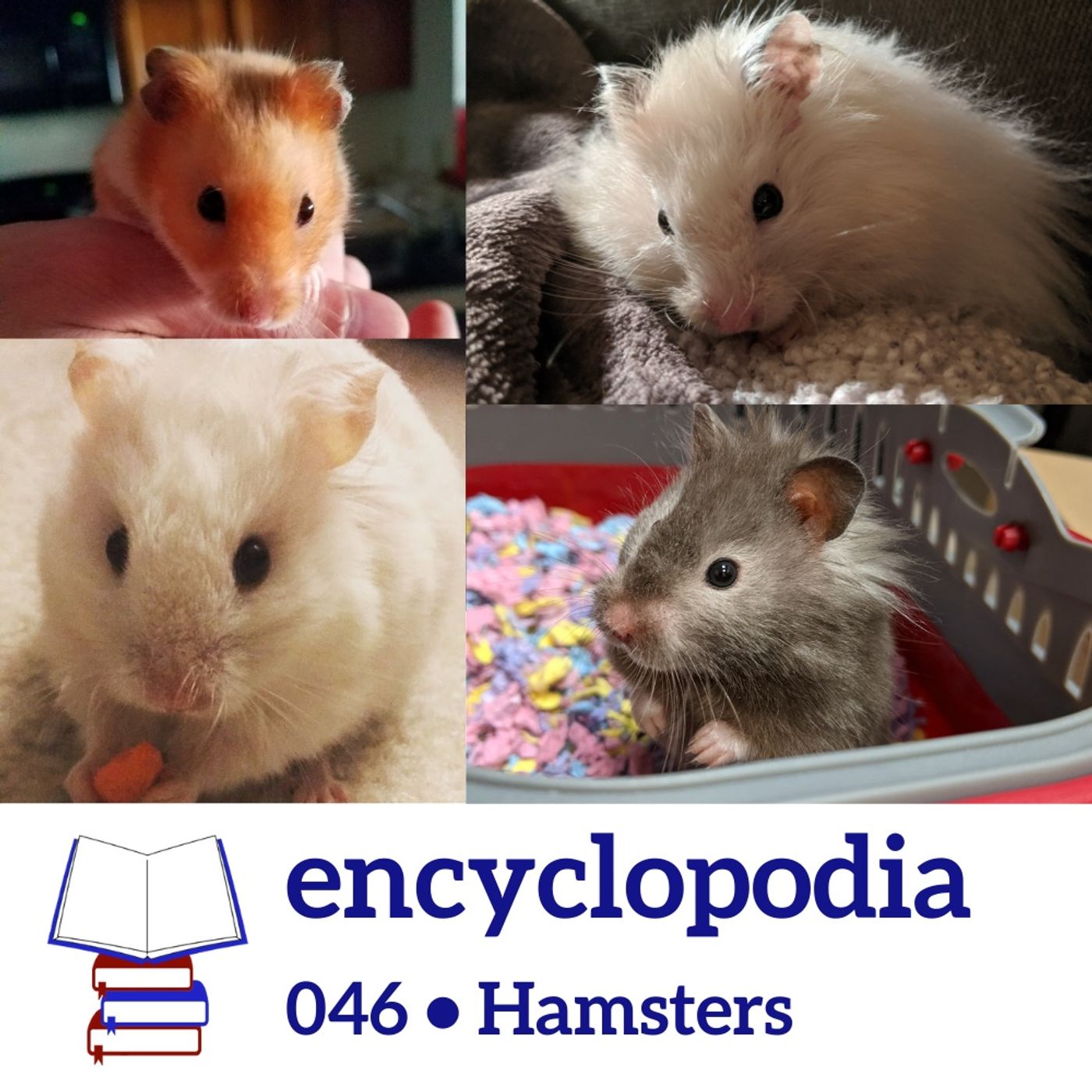 Encyclopodia