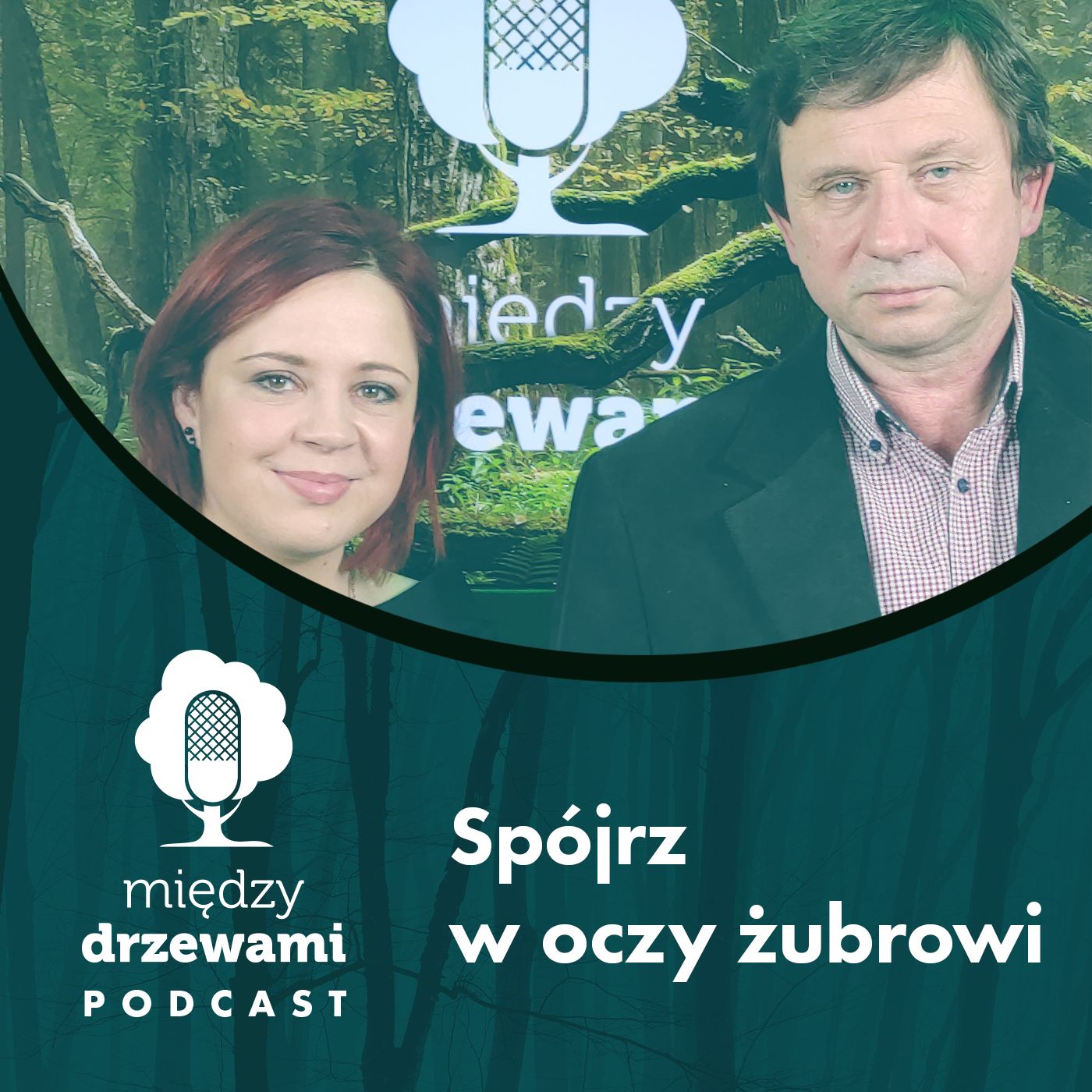Między Drzewami #50 Spójrz w oczy żubrowi [prof. Krzysztof Anusz, SGGW] episode artwork