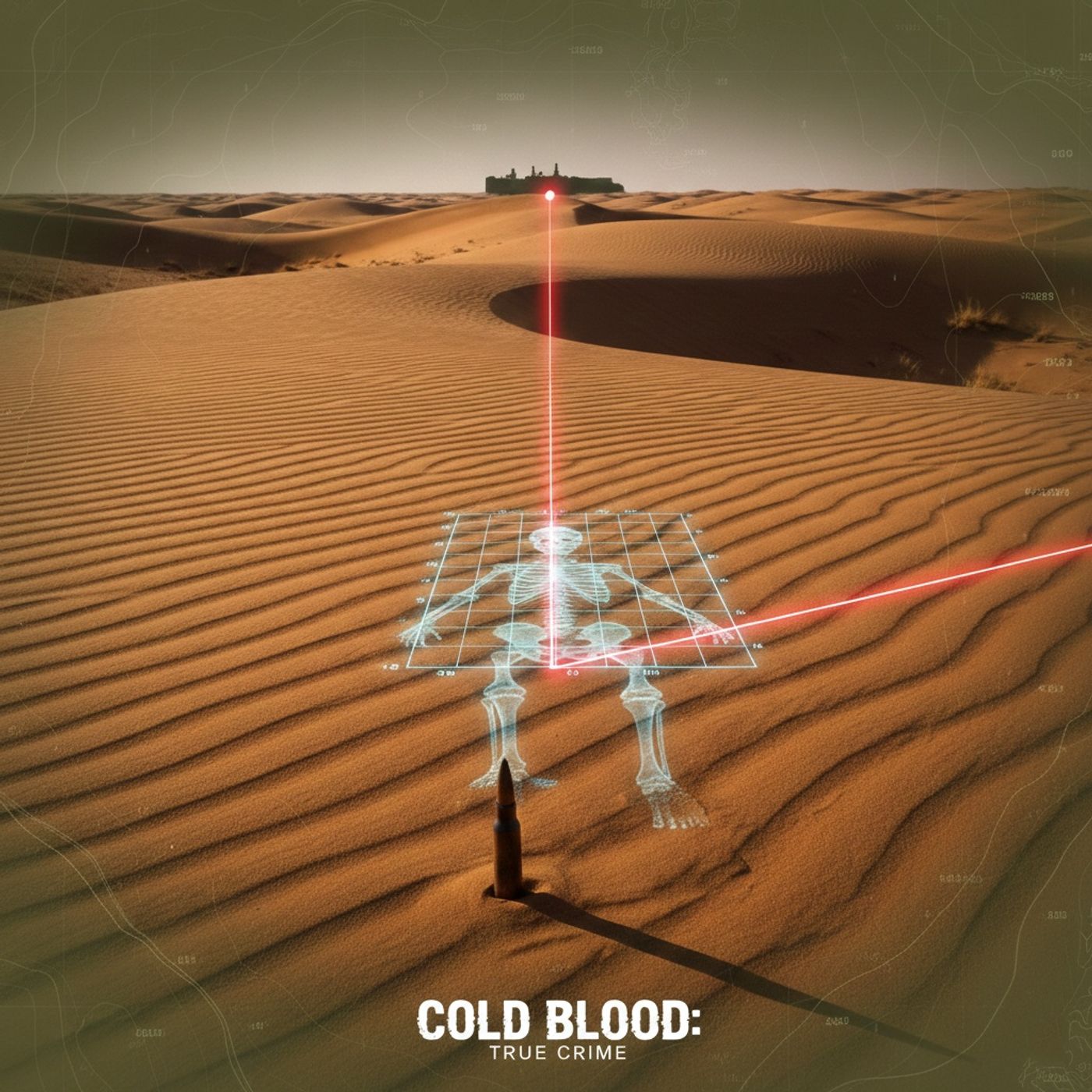 The Mali Desert Executions: Forensic Anthropology and the Audit of "Extrajudicial" Mass Graves episode artwork