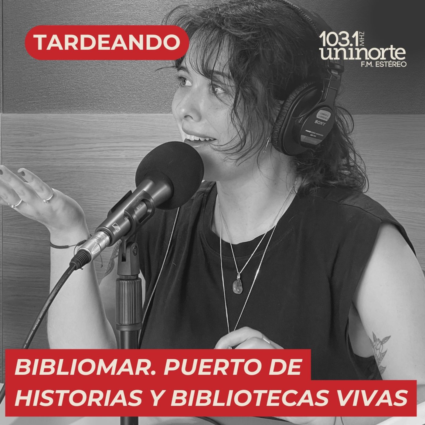BIBLIOMAR, Puerto de historias y bibliotecas vivas episode artwork