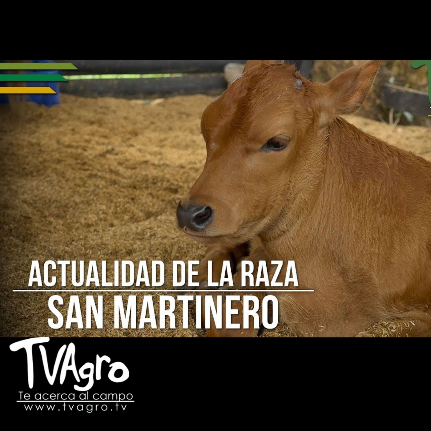 TV AGRO