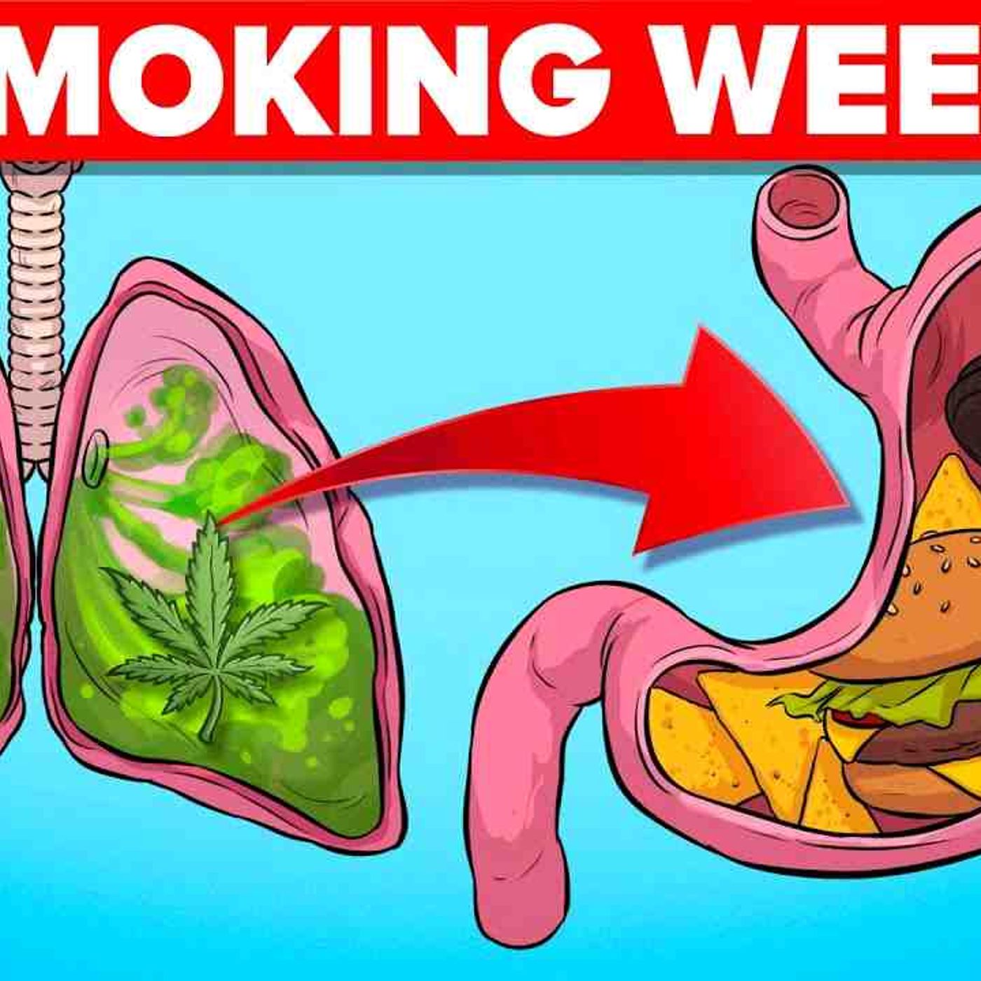 What Happens To Your Body When Smoking Weed episode artwork