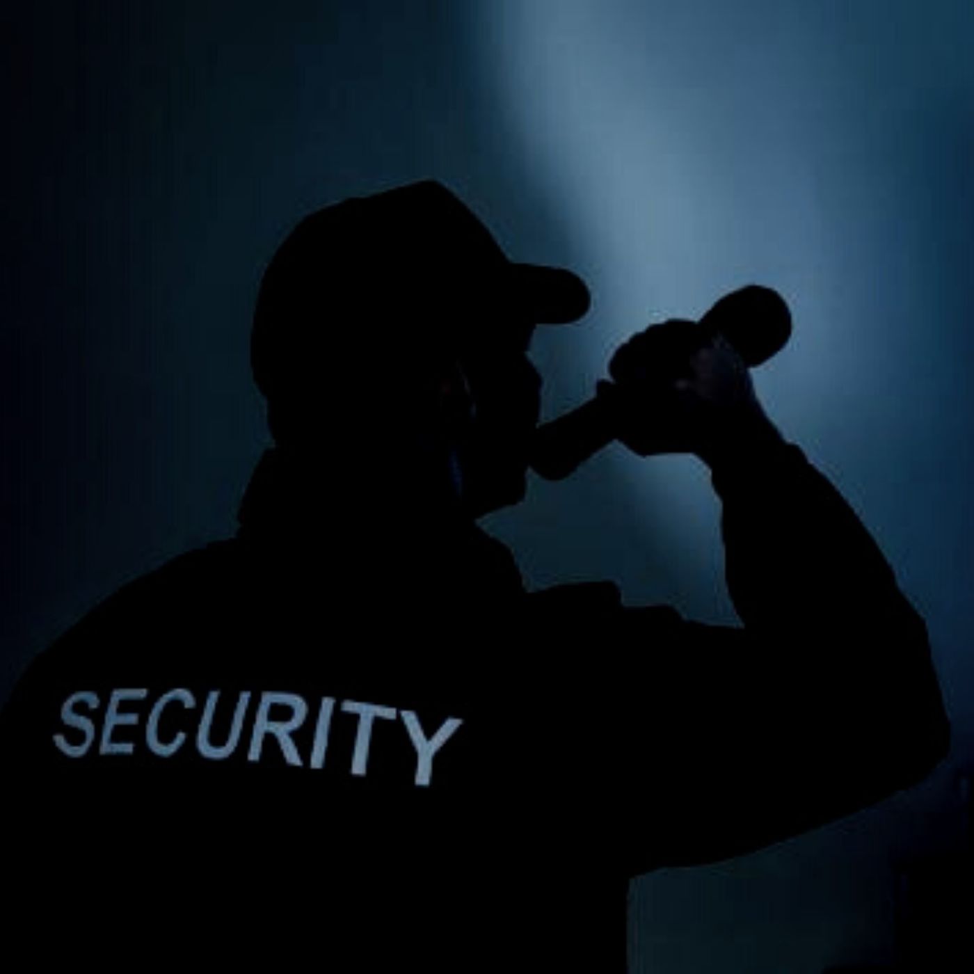 El Vigilante Nocturno Historias De Terror - REDE