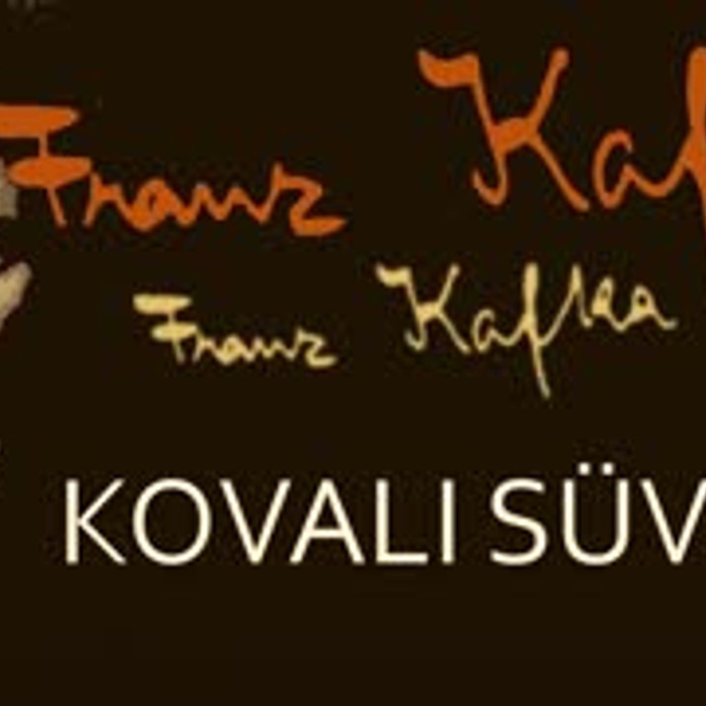 Kovalı Süvari  Franz KAFKA sesli öykü tek parça